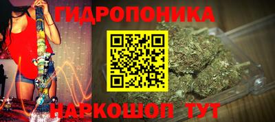 прущие крисы Ачхой-Мартан