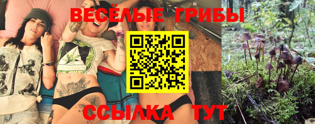 Галлюциногенные грибы GOLDEN TEACHER  дарнет шоп  Псилоцибиновые грибы мухоморы  Муравленко  Вход с VPN 